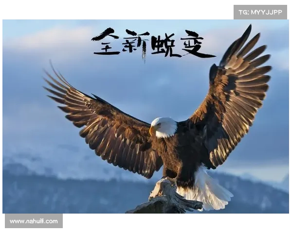 姜鹏翔的成长历程与成就探讨:从平凡到卓越的蜕变之路 姜鹏翔的成长历程与成就探讨:从平凡到卓越的蜕变之路